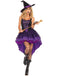 1970s Halloween Spiderweb Lace Witch Costume Set