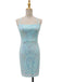 1920s Solid Sequin Spaghetti Strap Backless Dress - vintage dress, retro fashion, Gatsby party