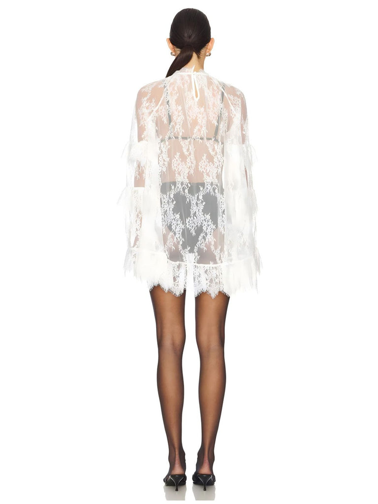 1930s Transparent Lace Perspective Slip Dress | vintage dress, retro fashion, elegant style - perfect for retro fashion enthusiasts