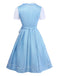 3PCS Blue 1950s Floral Dress & Embroidered Rose Apron - vintage dress, retro fashion, rockabilly