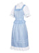 Blue 1970s Gingham Ruffle Puff Sleeve Costume Dress
