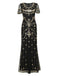1920s Beaded Mesh Short Sleeve Charleston Dress