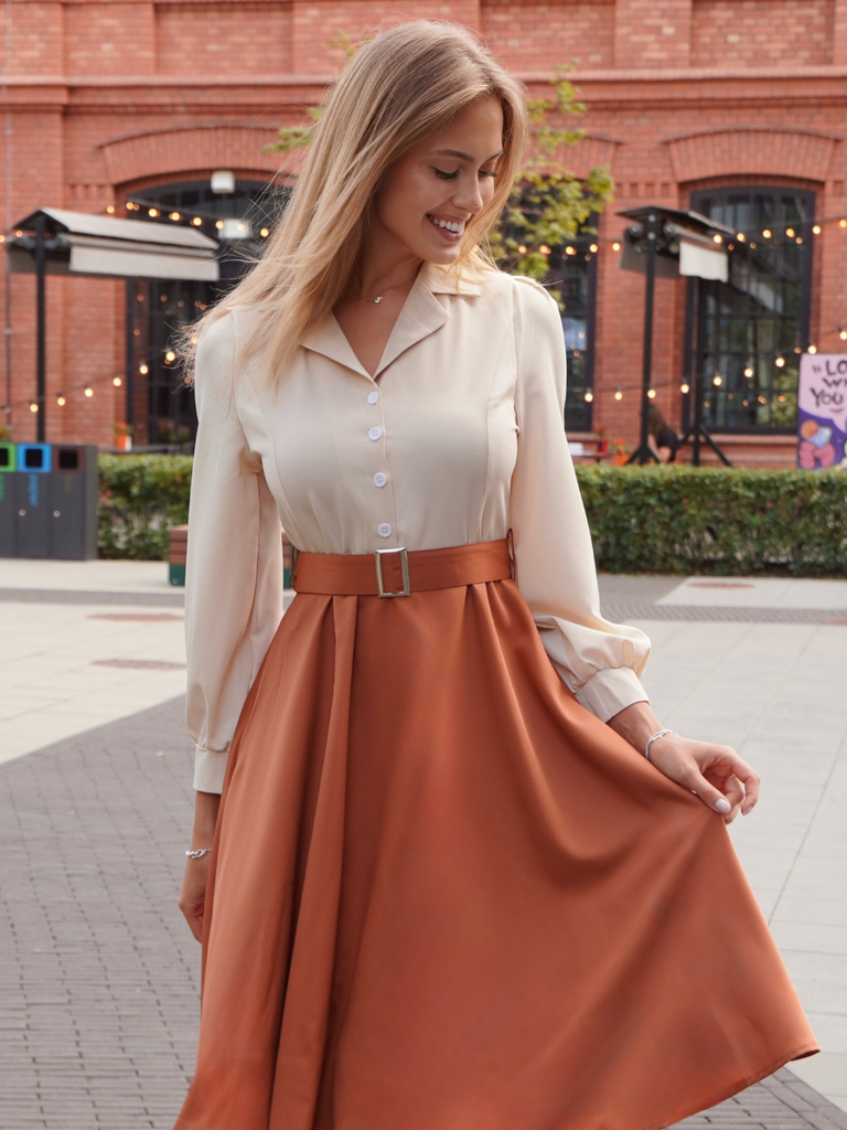Khaki 1950s Colorblock Long Sleeve Button Dress