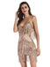 1920s Floral Sequined Tassel Mesh Deep V-Neck Dress