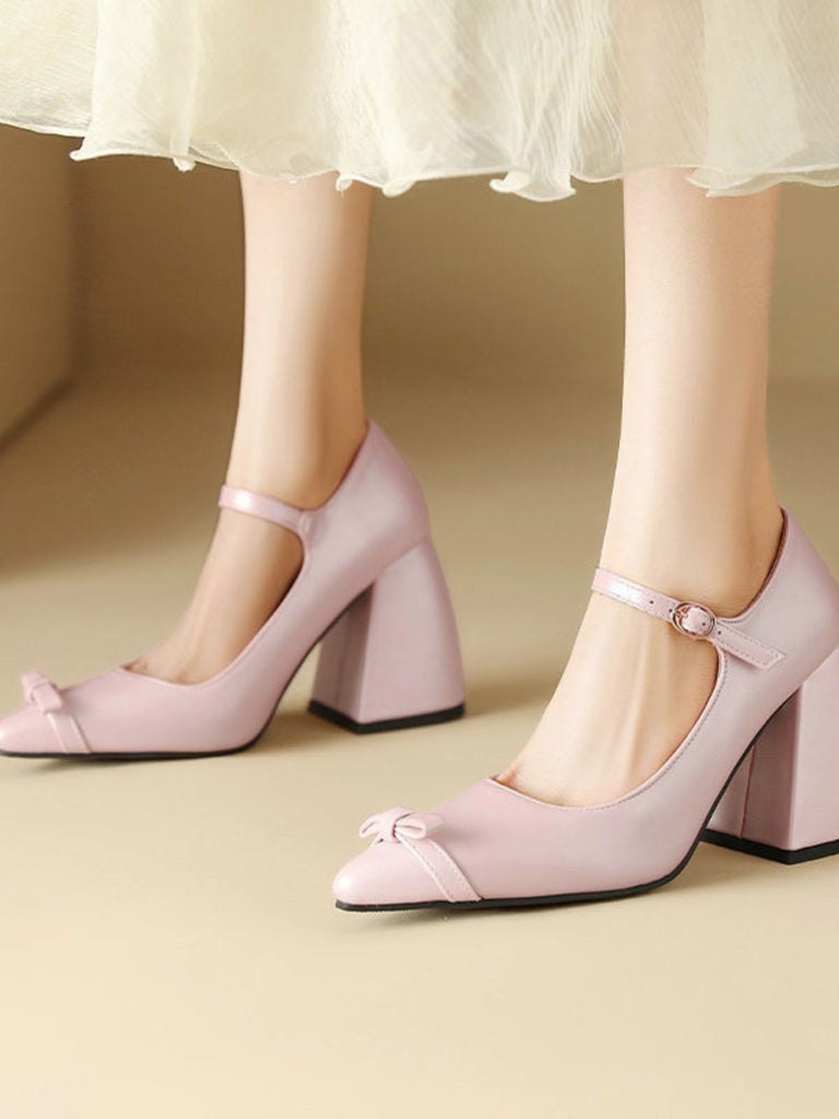 Vintage Bow Strap Point Toe Chunky Heels