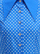 Vintage polka dot belted swing dress with shirt collar in classic 1950s retro style