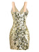 1980s Deep V-Neck Mesh Sequined Lace-Up Dress