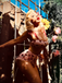 Lace Strawberry Cami Tankini Set - vintage fashion, retro style