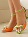 Elegant Pointed Toe Chunky Heel Sandals 2