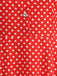 Vintage polka dot belted swing dress with shirt collar in classic 1950s retro style