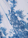 2PCS Blue 1950s Floral Lace-Up Dress & Apron
