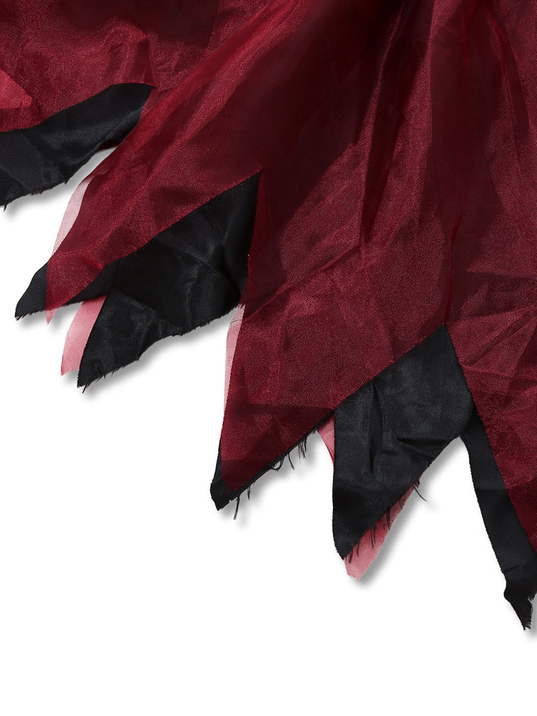 Red 1980s Halloween Witch Vampire Mesh Dress & Embroidered Cape