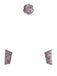 Beige 1930s Halloween Vampire Bride Lace Dress Set