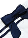SCH008016 6
