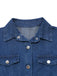 Blue 1950s Denim Dress 4