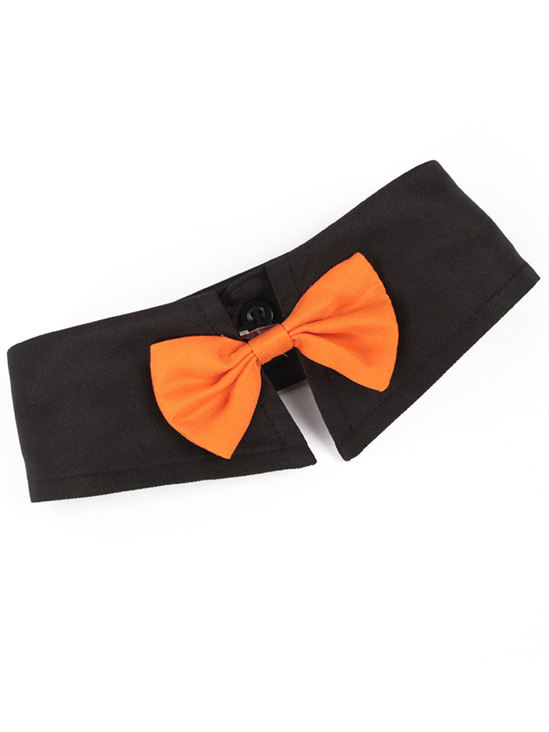 SCH008681 - 7