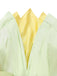 1950s Satin Fairy Green Leaf Petal Princess Costume Dress Set