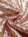 Brown 1970s Sequin Jumpsuit 6