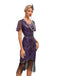 1920s Cap Sleeves Tassel Sequined Dress
