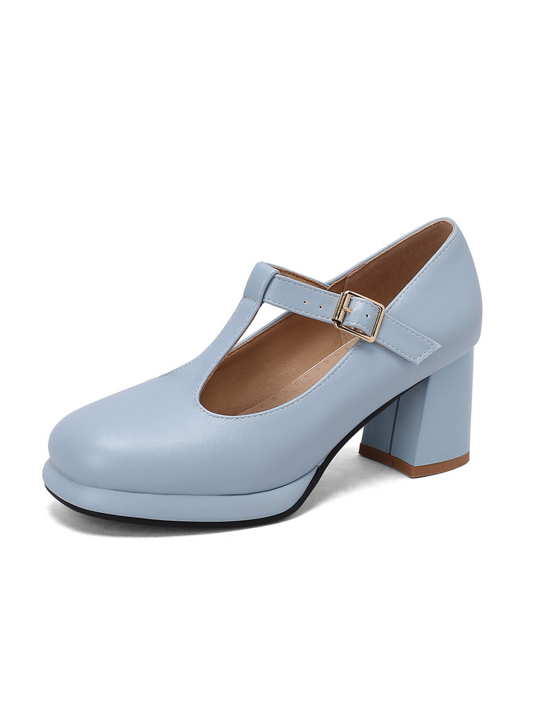 Ankle Strap Chunky Heels Mary Jane Shoes