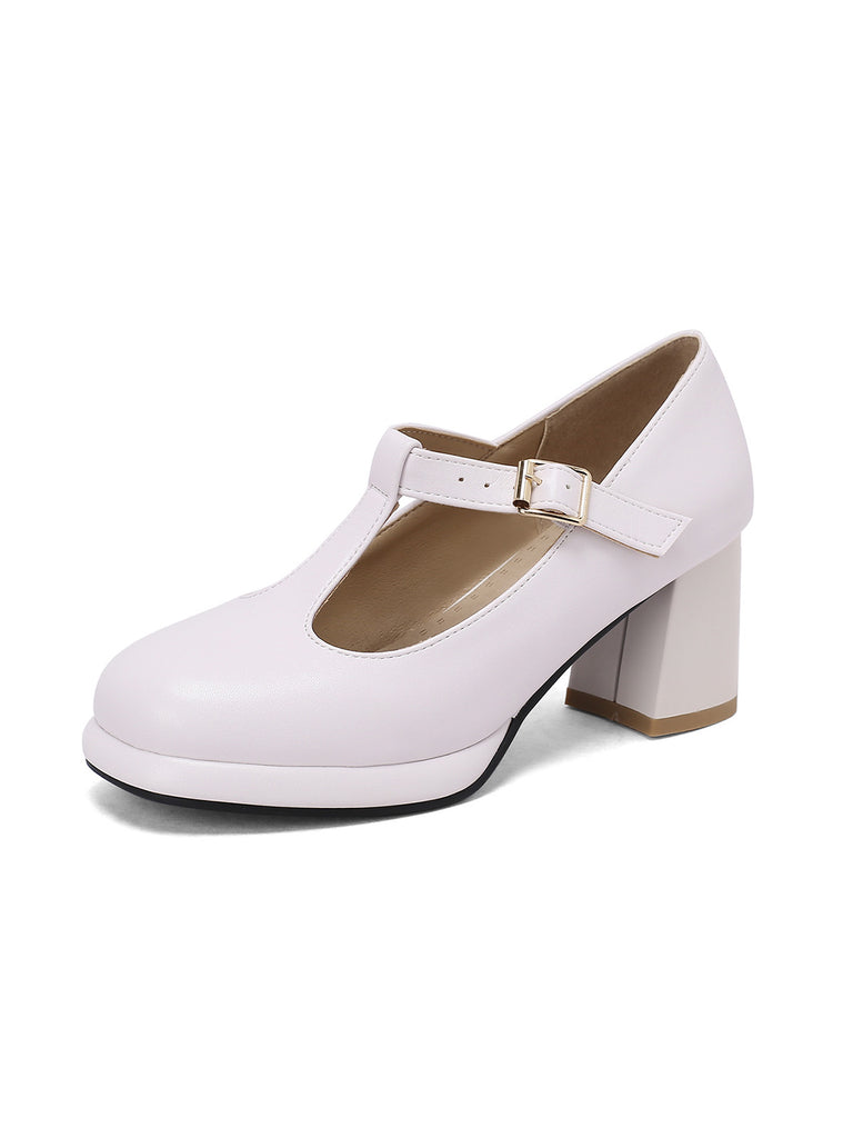 Ankle Strap Chunky Heels Mary Jane Shoes