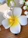 White Plumeria Obtusa 3D Flower Hair Clip