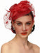 Vintage Mesh Feather Bow Hair Accessories