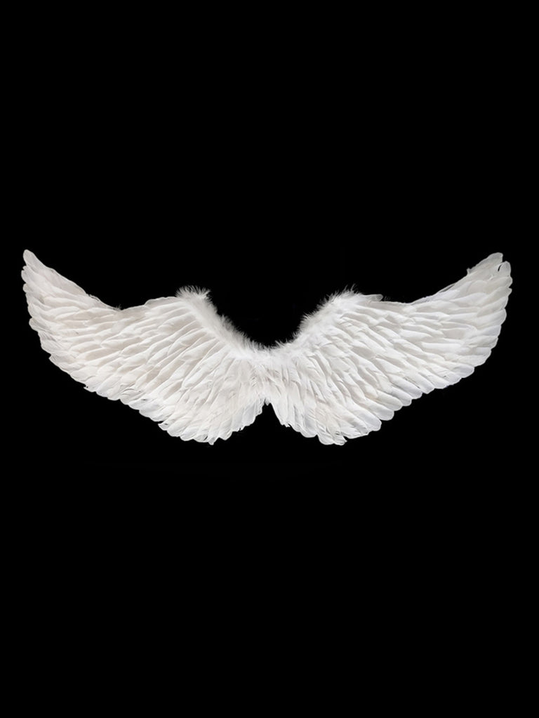 This Solid Color Angel Feather Wings whispers vint