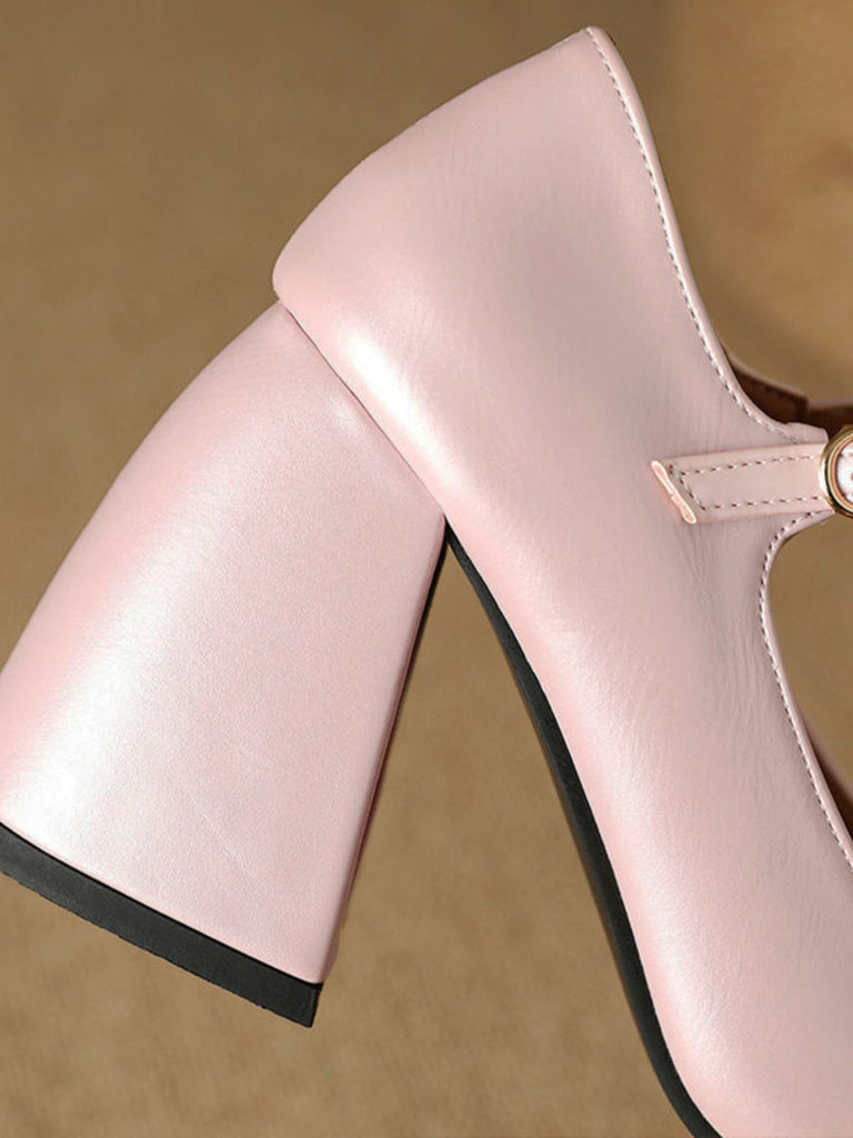 Vintage Bow Strap Point Toe Chunky Heels - vintage shoes, retro heels