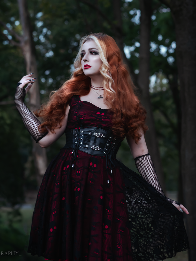 Wine Red 1950s Skull Mesh Swing Dress