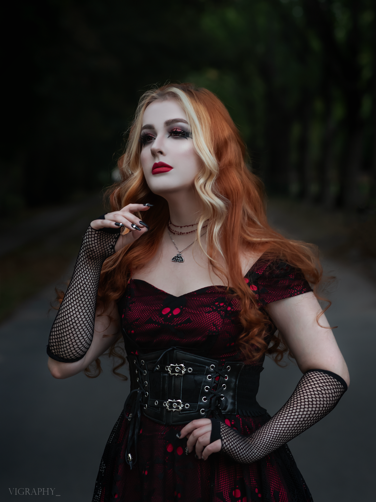 Wine Red 1950s Skull Mesh Swing Dress