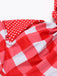 Red 1950s Plaid Halter Bikini Set