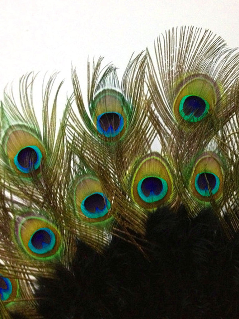 [US Warehouse] Peacock Feather Folding Hand Fan
