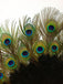 [US Warehouse] Peacock Feather Folding Hand Fan