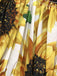 Yellow 1950s Sunflowers Prairie Dress