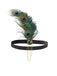 [US Warehouse] 1920s Feather Rhinestone Flapper Headband