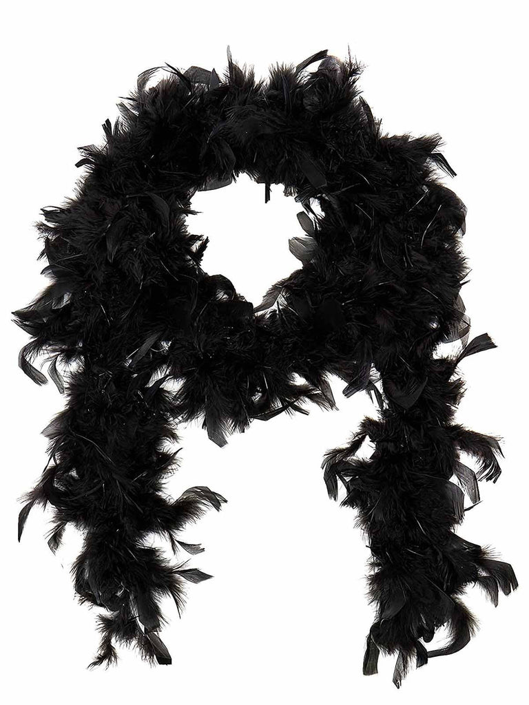 .com: Skeleteen Feather Boa Costume Accessory - 1920's White Boa with  Feathers - 1 Piece : Toys & Games
